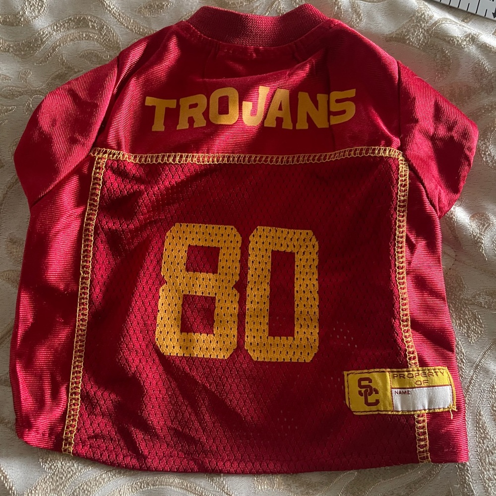 Miniature dog or puppy USC Jersey